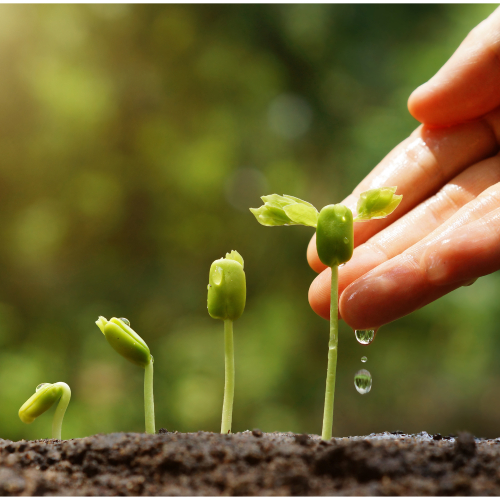 Làm Nông Thời 4.0 – Tăng Năng Suất, Giảm Rủi Ro