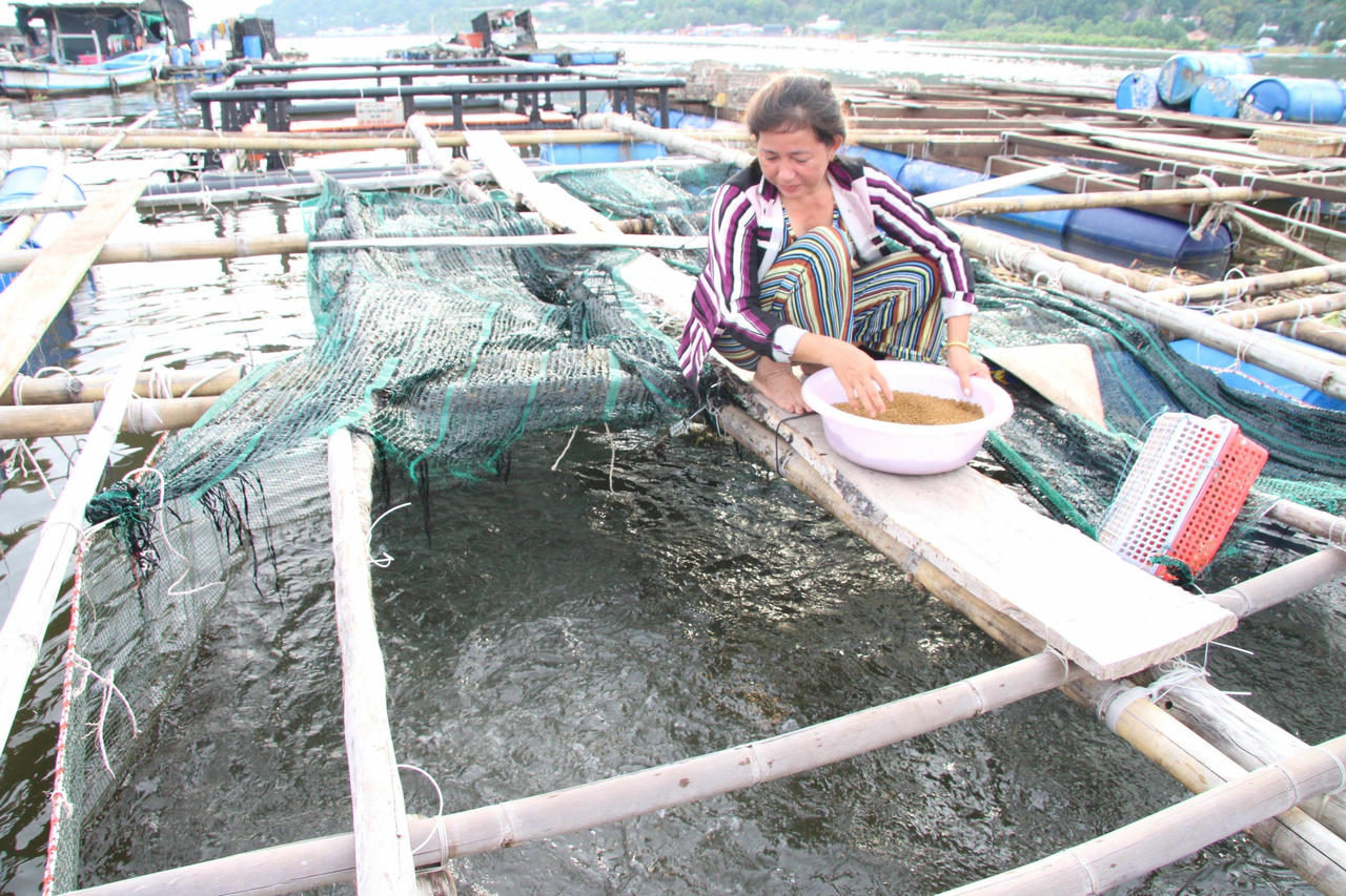 Người dân làm giàu nhờ kinh tế biển