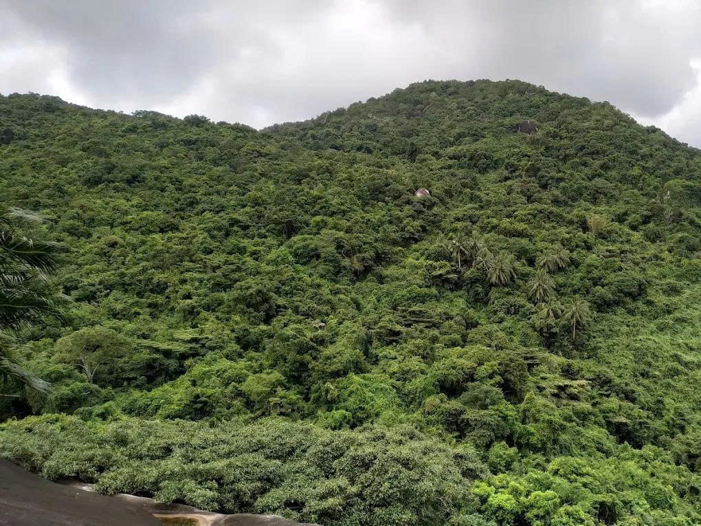 Giới thiệu đỉnh Ông Rồng