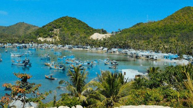 Thời điểm lý tưởng để đến Hòn Củ Tron