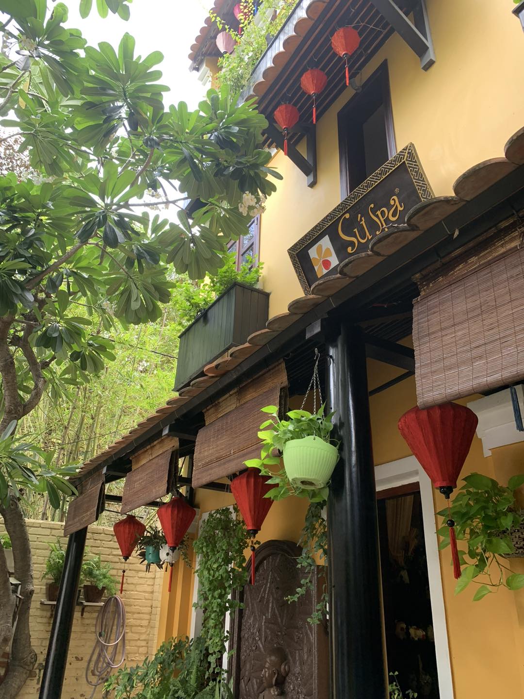 Chất lượng dịch vụ chuyên nghiệp