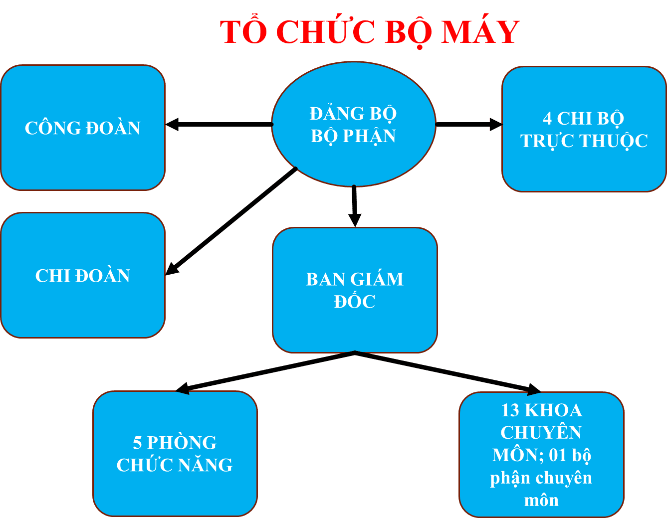 Bộ máy tổ chức
