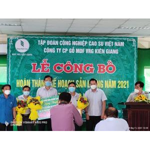 Cty CP Gỗ MDF VRG An Giang