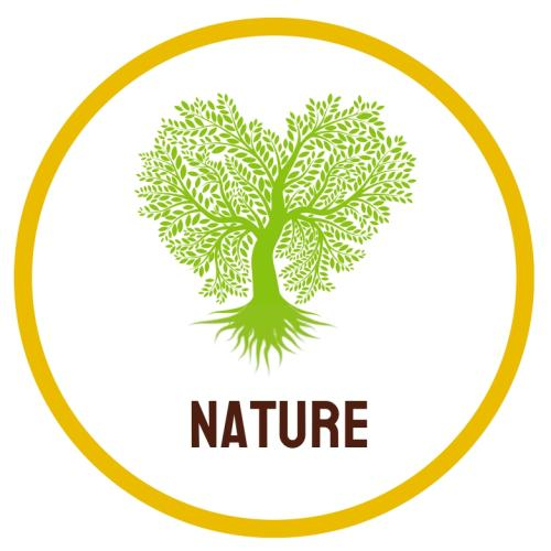 Công Ty TNHH Thiên Nhiên Natural