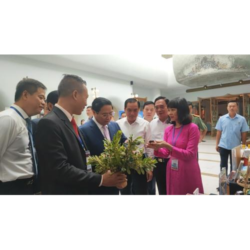 Hội nghị Tổng kết tại Phú Quốc