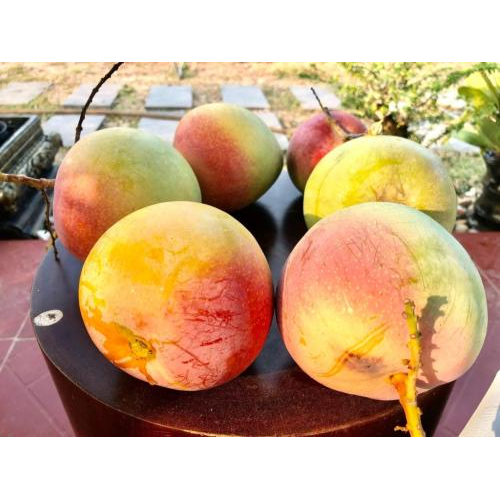 Phòng nghỉ tại An Nhiên Homestay