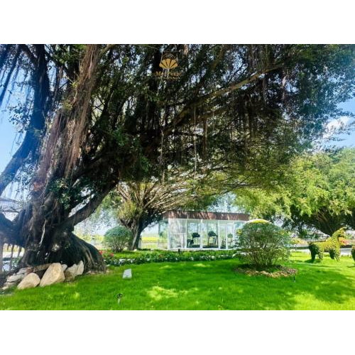 MerPerle Núi Sam Resort