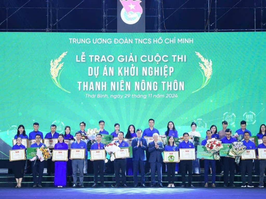 6. Thành tựu nổi bật: