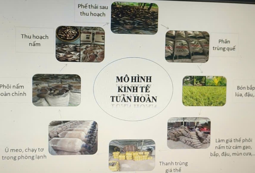 5. Mô hình sản xuất