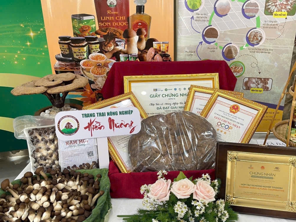 V. Sản phẩm chủ lực: