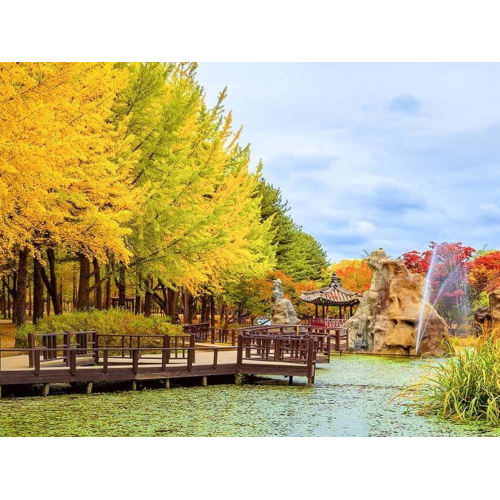 Tour Hàn Quốc 4 ngày 4 đêm